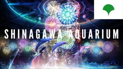 Dolphin Show | Shinagawa Aquarium, Tokyo Travel Vlog in Japan 2017 🇯🇵