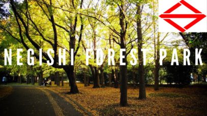 Negishi Forest Park, Yokohama Travel Vlog in Japan 2017 🇯🇵