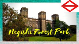 Negishi Forest Park, Yokohama Travel Vlog in Japan 2020 🇯🇵