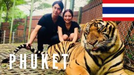 Phuket Travel Vlog in Thailand 2017 🇹🇭