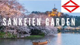 Sankeien Garden, Yokohama Travel Vlog in Japan 2019 🇯🇵