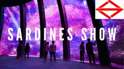 Sardines Show | Hakkeijima Sea Paradise, Yokohama Travel Vlog in Japan 2019 🇯🇵