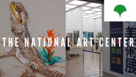 The National Art Center, Tokyo Travel Vlog in Japan 2019 🇯🇵