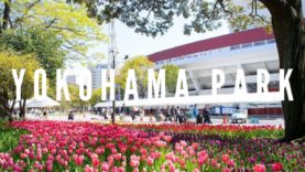 Yokohama Park, Yokohama Travel Vlog in Japan 2017 🇯🇵