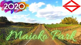Maikoka Park Yokohama Travel Vlog in Japan 2020 🇯🇵