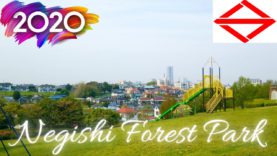 Negishi Forest Park Yokohama Travel Vlog in Japan 2020 🇯🇵