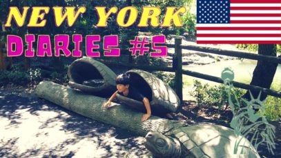 New York Diaries #5 | Central Park Zoo